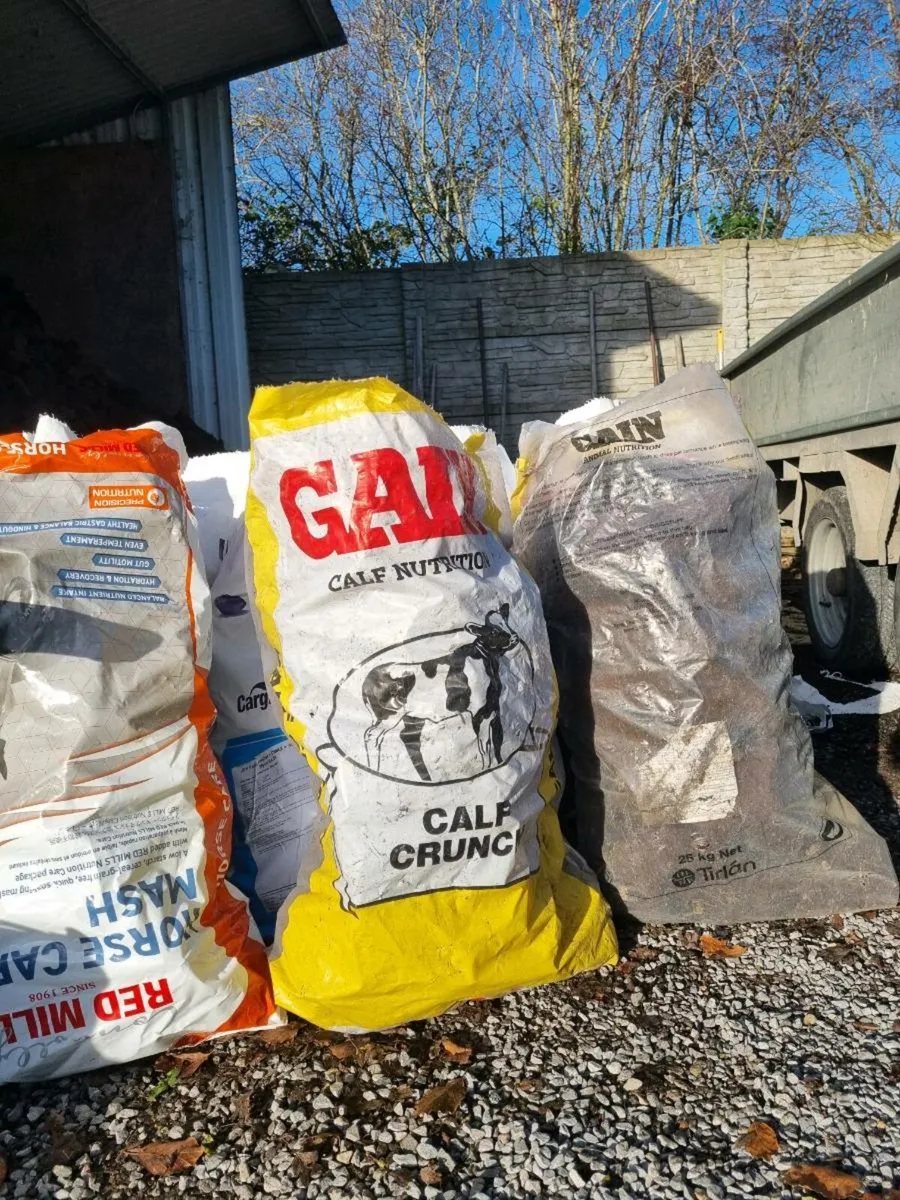 CEMENT MIXER - Image 4