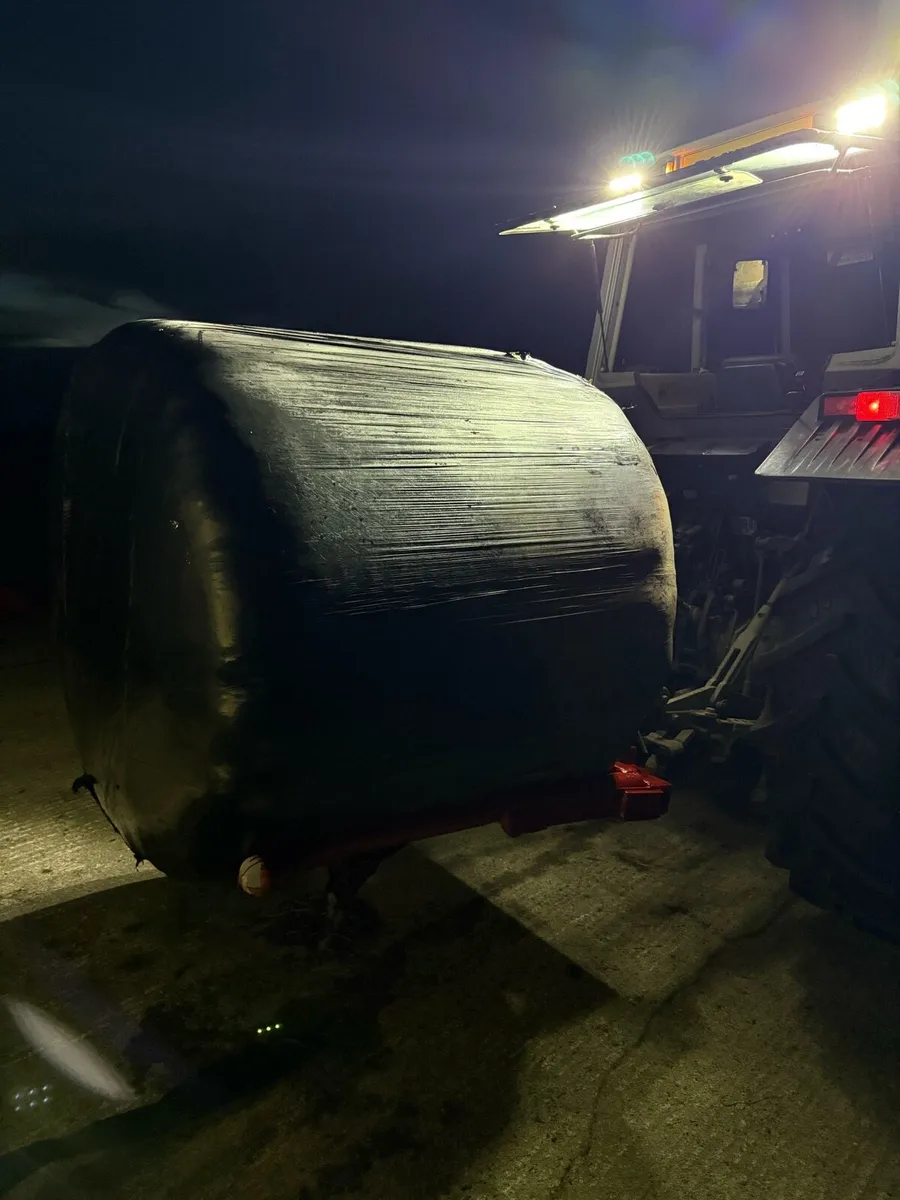 Bale lifter - Image 4