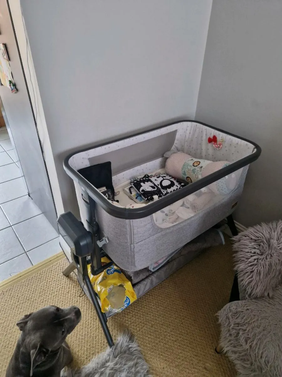 The Co-Glide Bedside Crib - Image 1