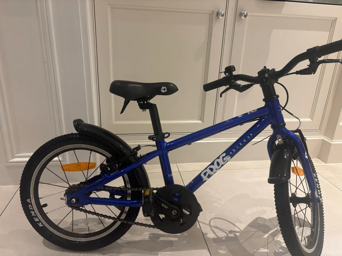 Frog 44” - Image 4