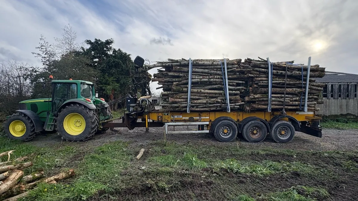 Tri axle timber trailer - Image 2