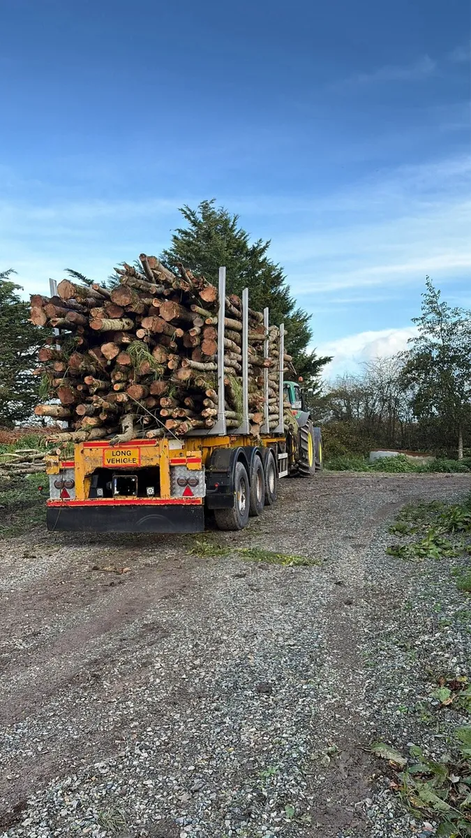 Tri axle timber trailer - Image 3