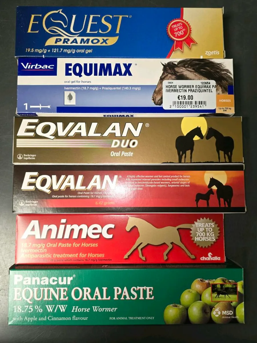 EQUESTRIAN ACCESSORIES AND SUPPLEMENTS TRALEE - Image 1