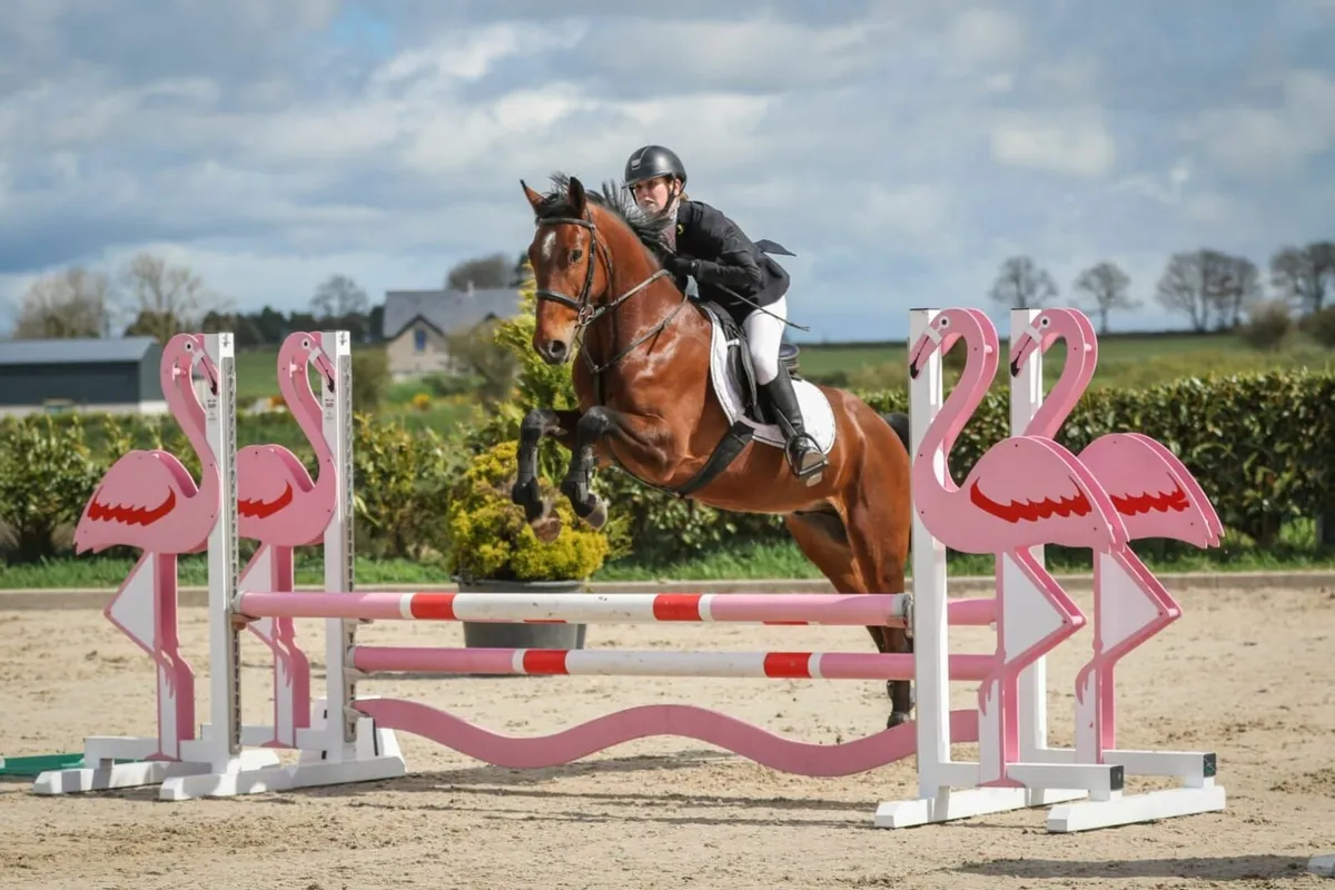 Lot No 30. Gorebridge Thurs 4th Dec - Image 1