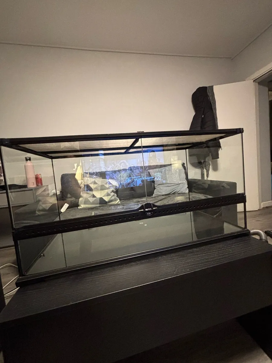 Large reptile tank