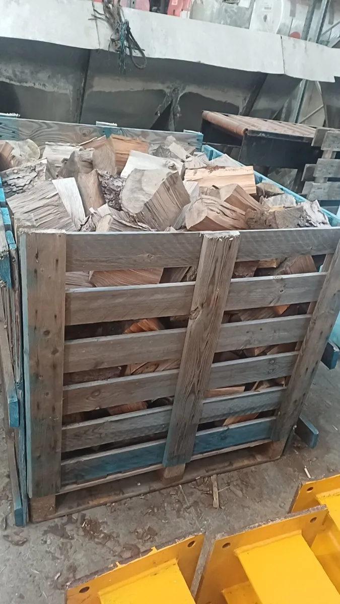 Ash Firewood - Image 4