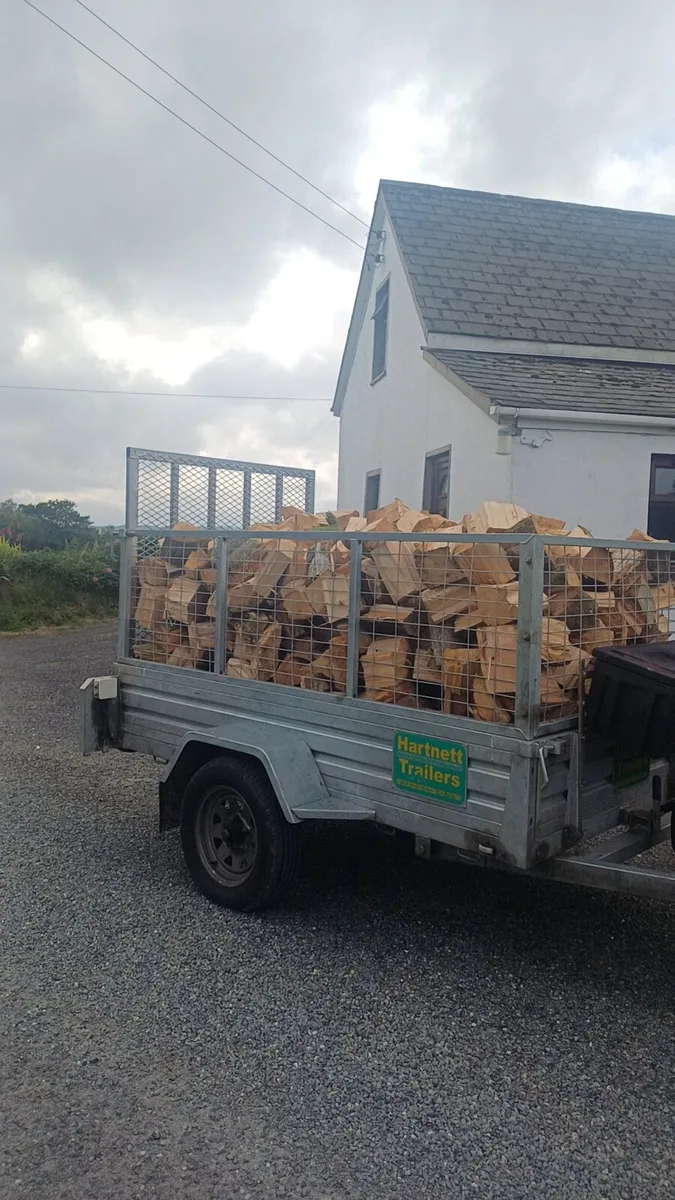 Ash Firewood - Image 1