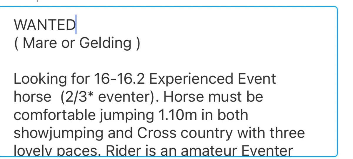 EVENT HORSE WANTED