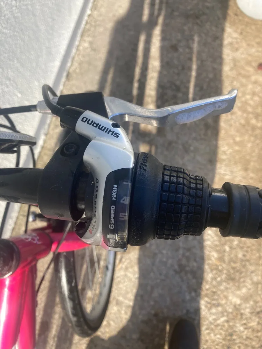 Adult Mountain Bicycle - Image 2