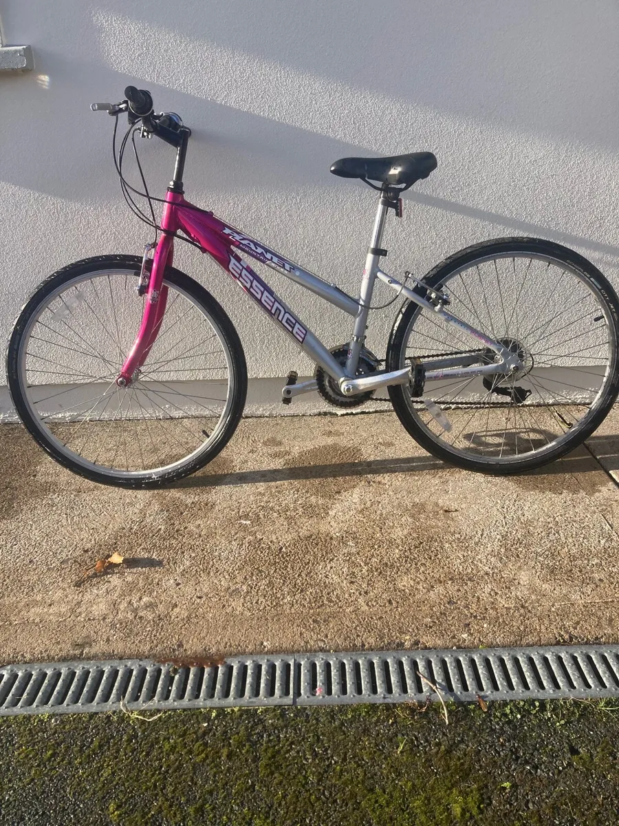 Adult Mountain Bicycle - Image 1