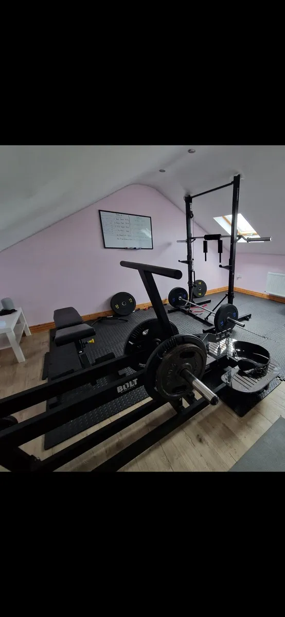 Belt Squat - Image 2