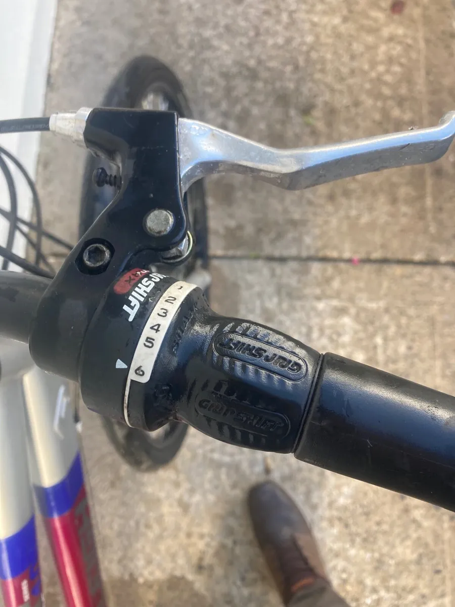 Adult bicycle - Image 2