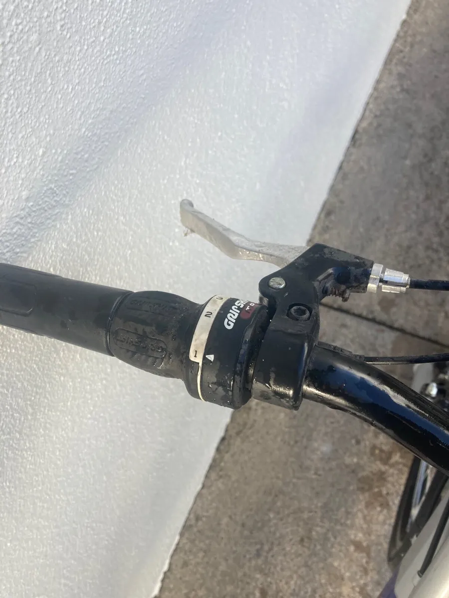 Adult bicycle - Image 3