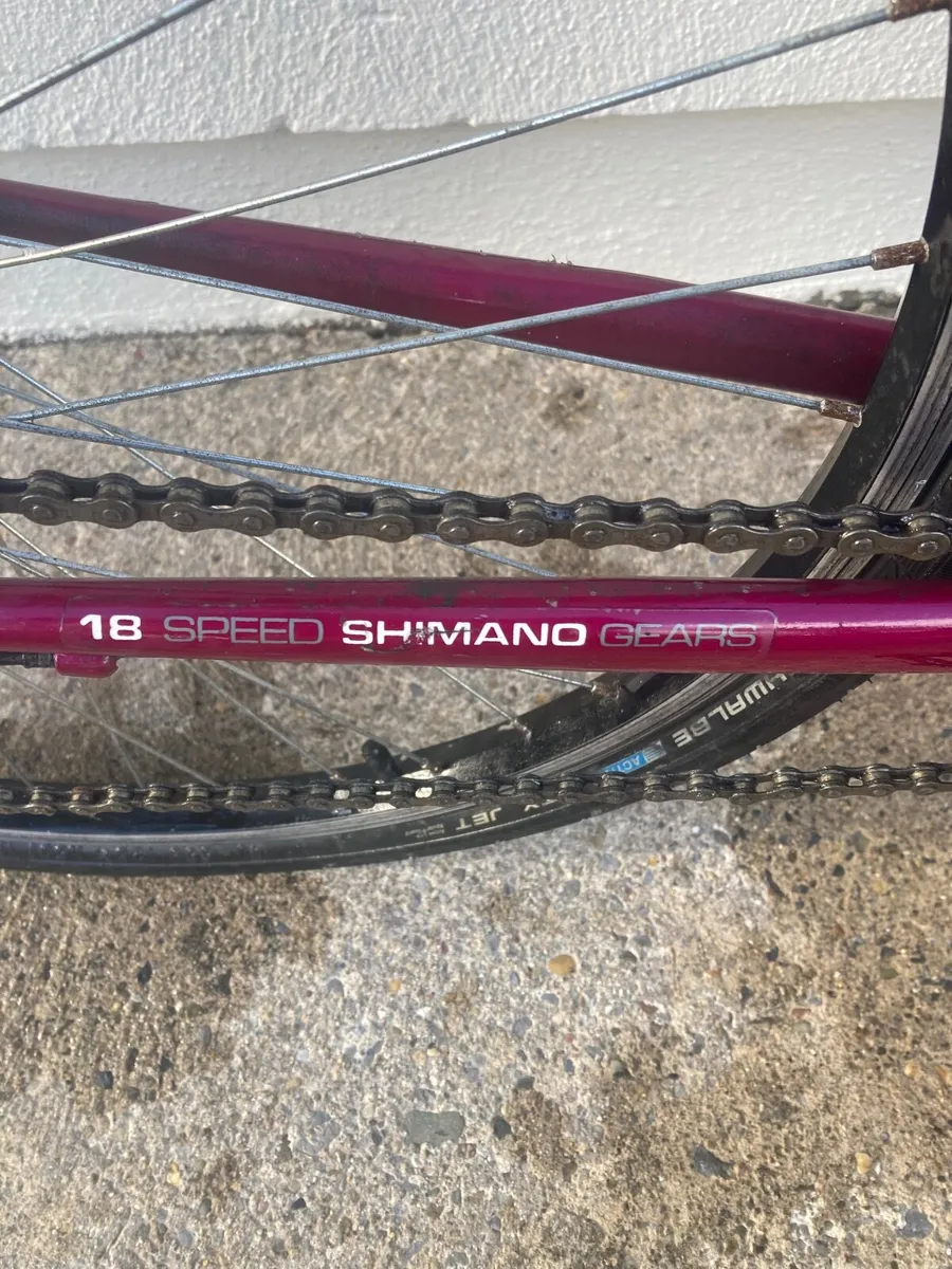 Adult bicycle - Image 4