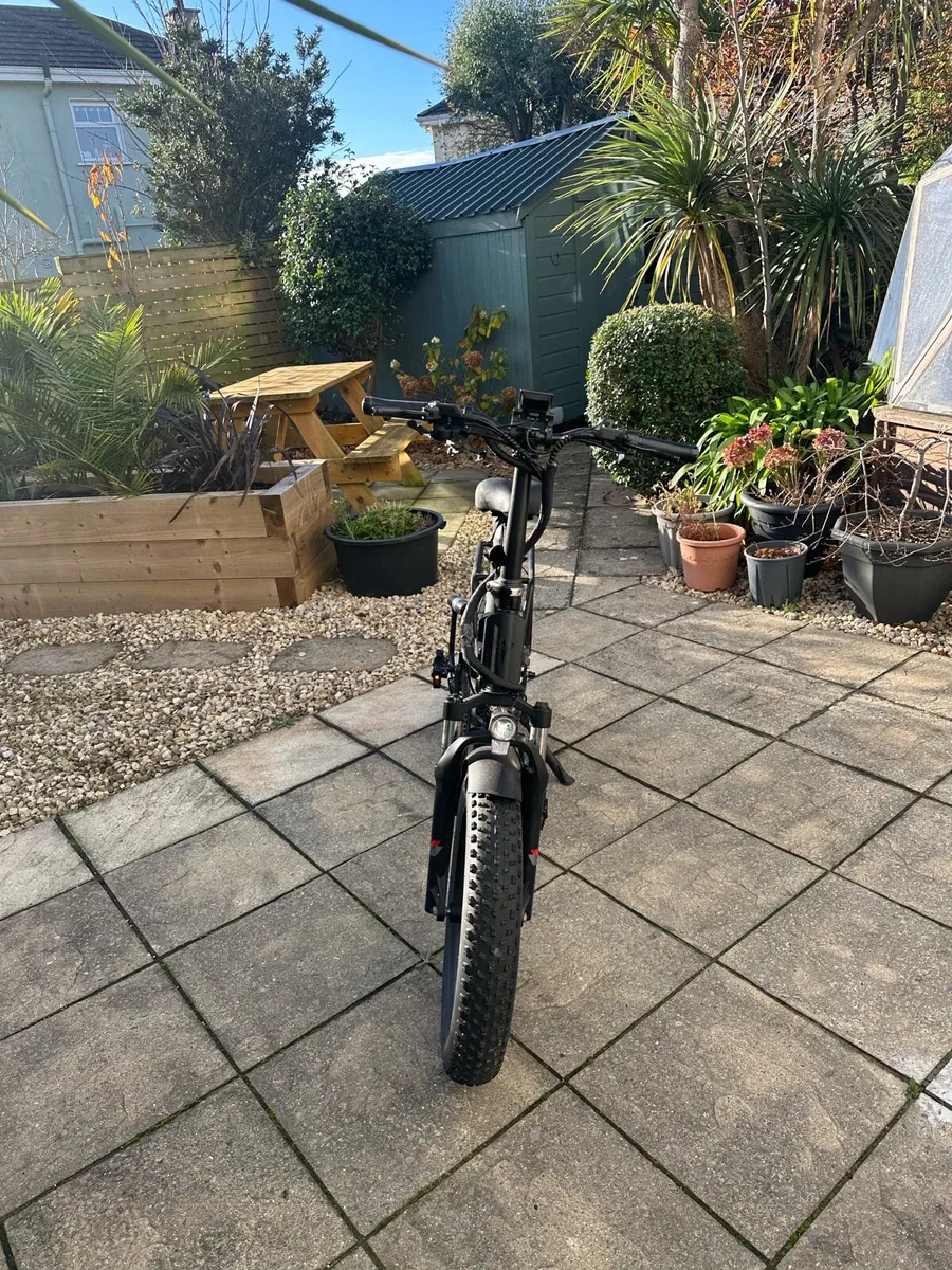 Electric Bike - Image 4