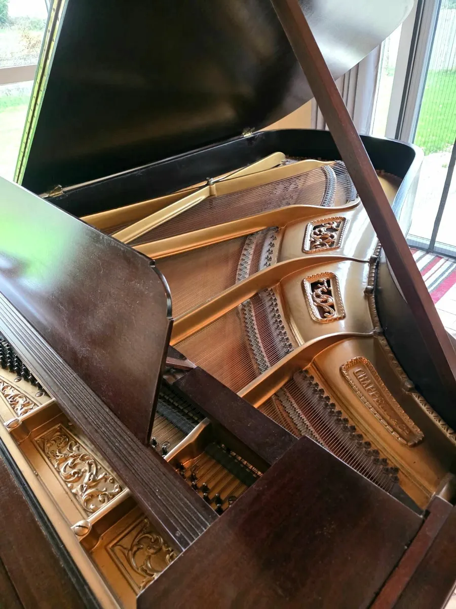 Antique Chappell High Quality Restored Grand Piano - Image 4