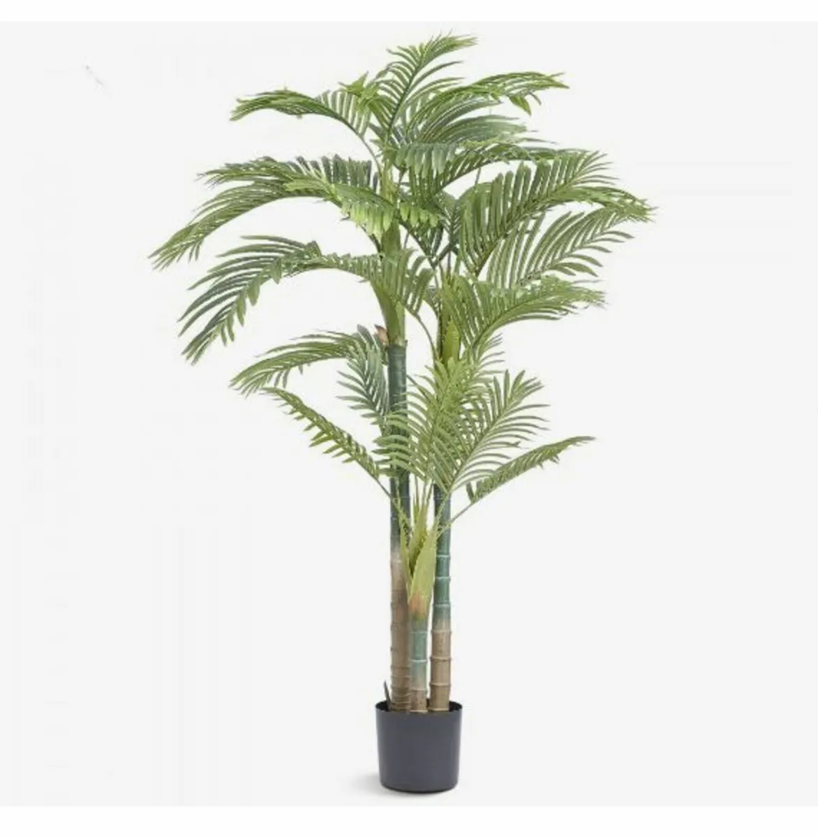 Artificial Gold Cane Palm Tree, 2m - Image 1