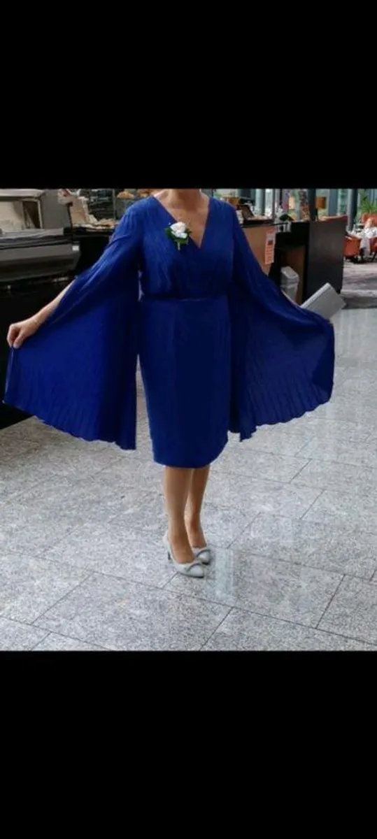 Mother of the Bride Dress and Fascinator - Image 3