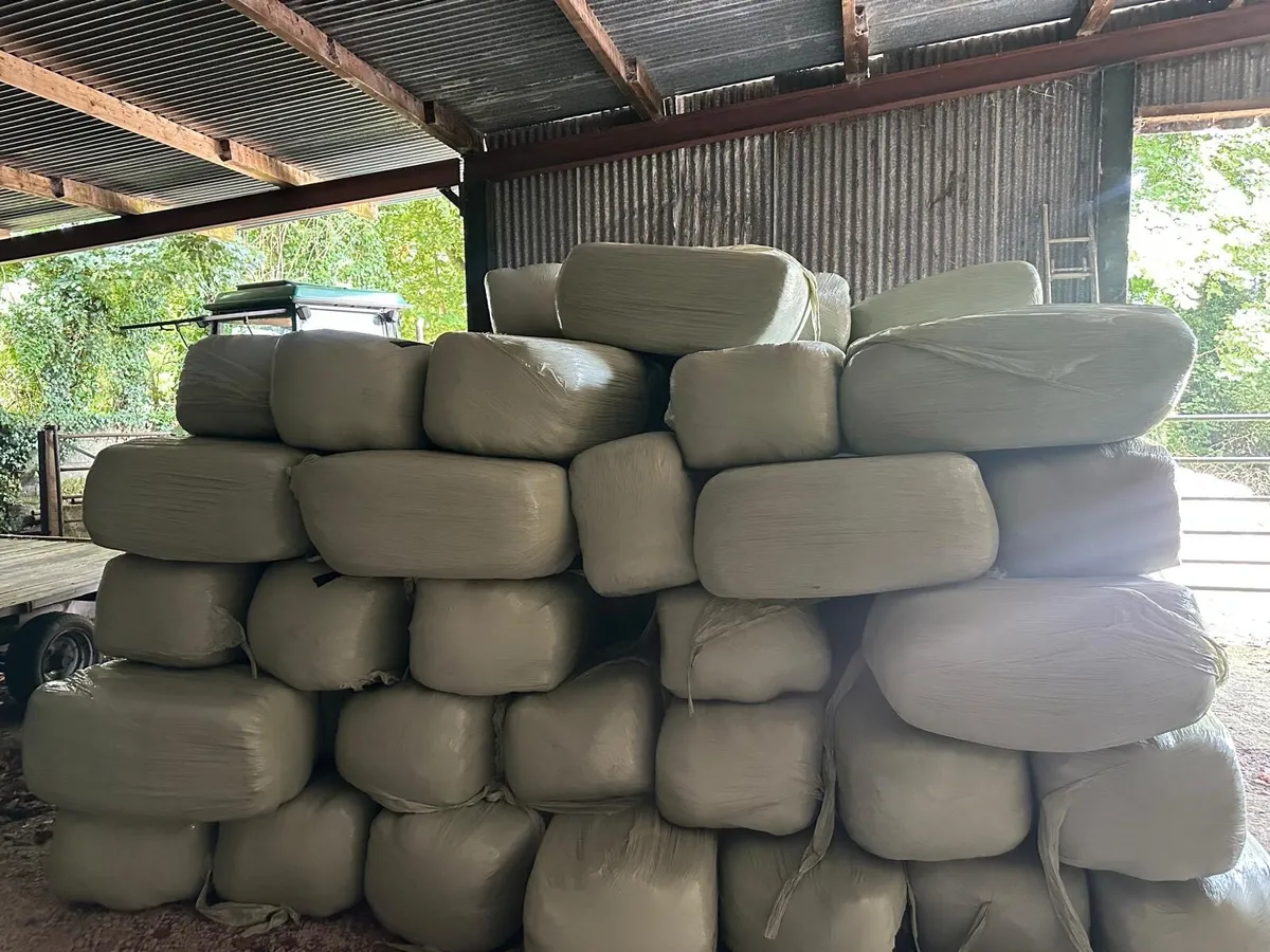 Small sqaure bales of haylage - Image 1