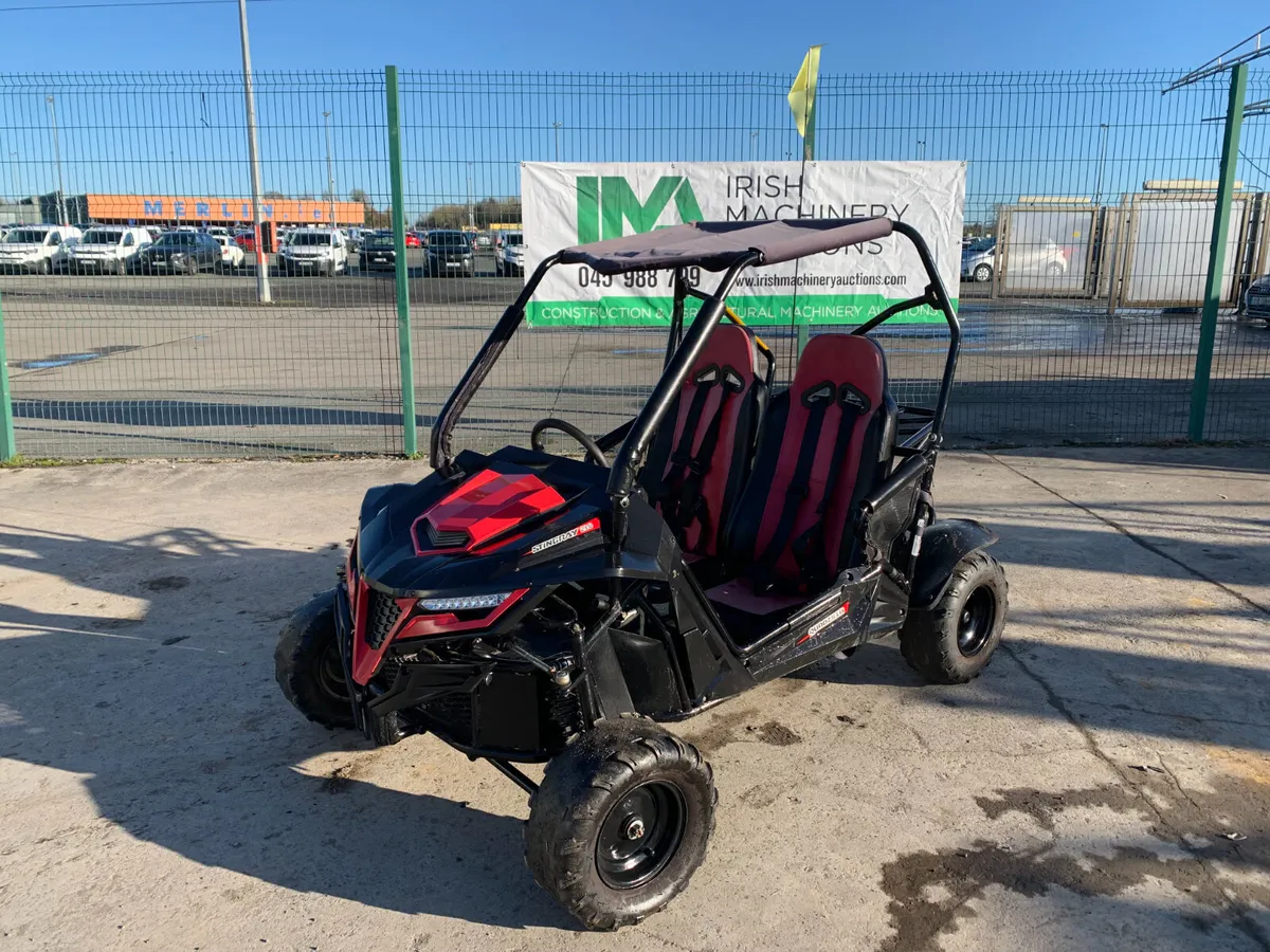 2022 QUADZILLA STINGRAY 210 BUGGY FOR AUCTION - Image 1