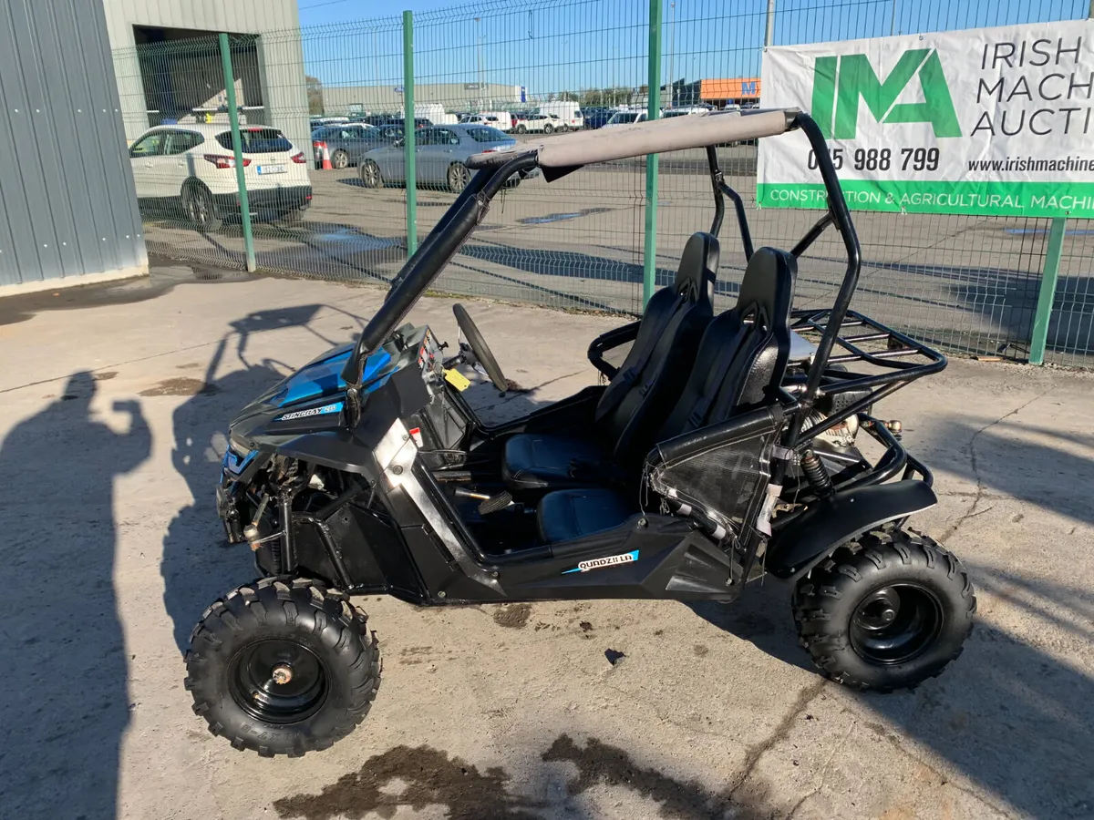 2022 QUADZILLA STINGRAY 210CC BUGGY FOR AUCTION - Image 2