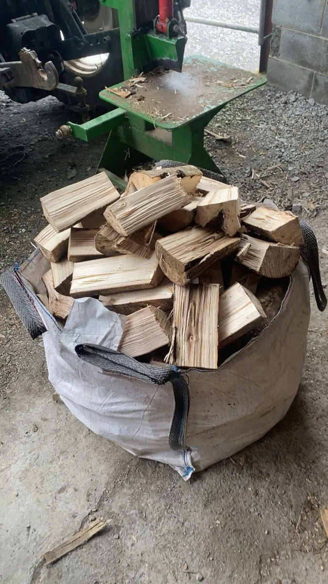 Firewood - Image 3