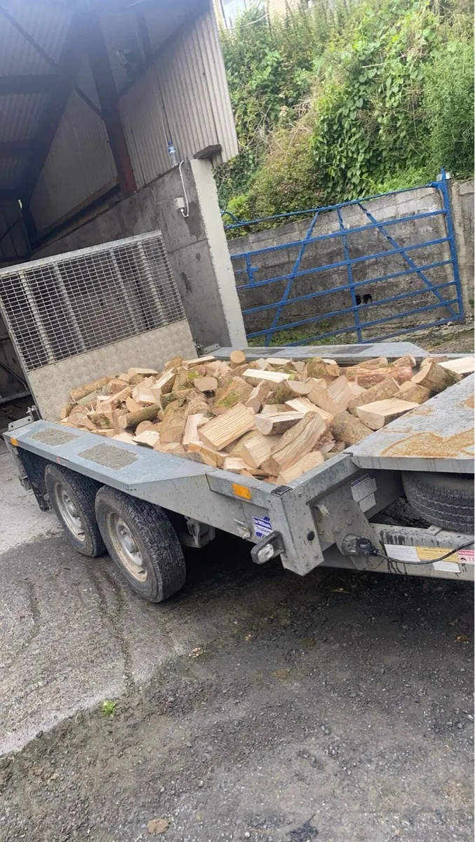 Firewood - Image 4