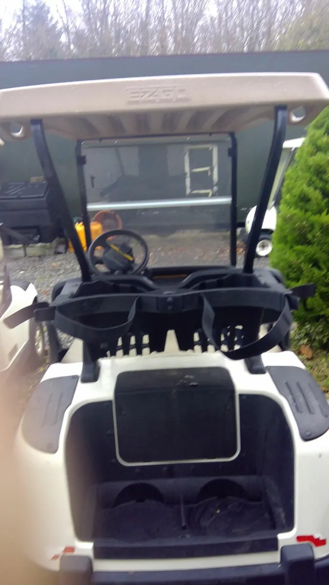 Electric Golf Buggy - Image 2