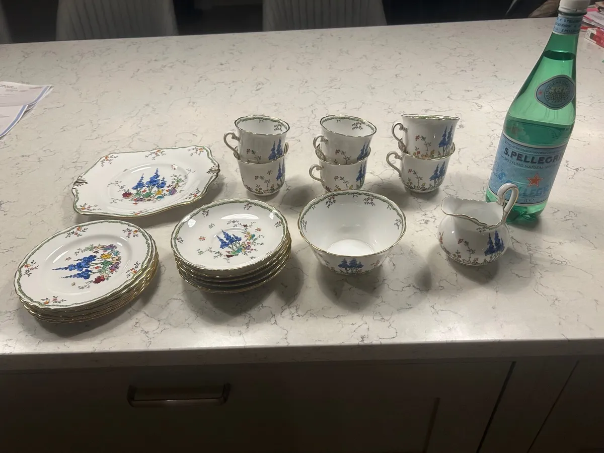 Plant Tuscan China - Image 4