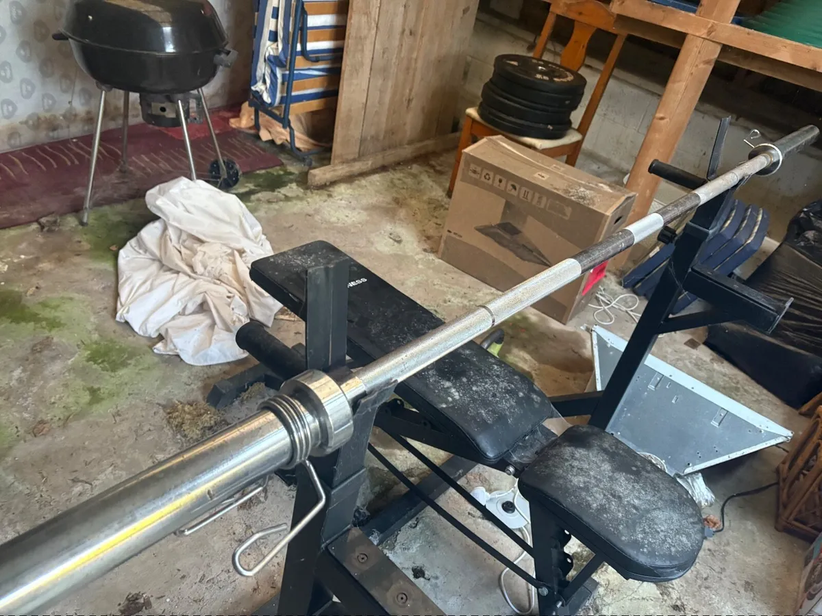 Gym Equipment - Olympic bar bell, bench, rack - Image 2