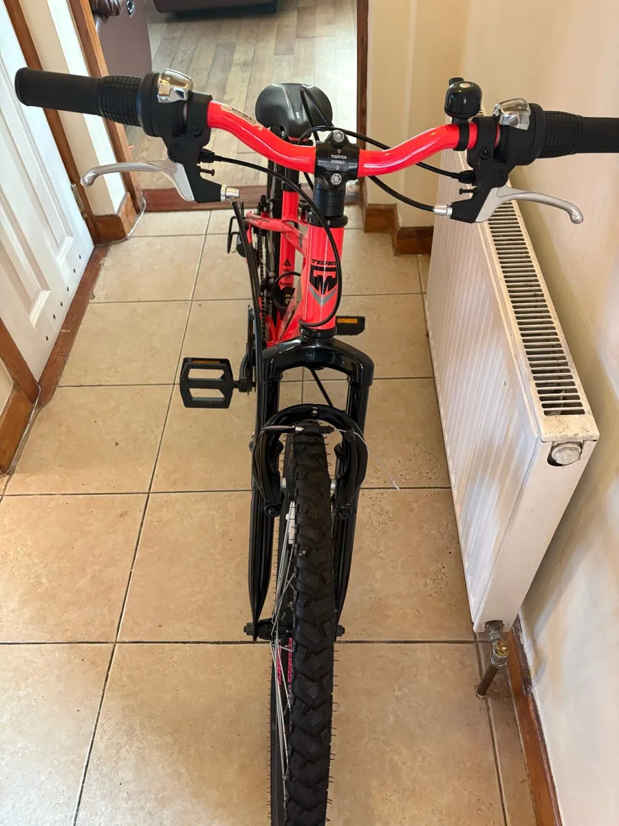 Girls Bicycle - Image 1