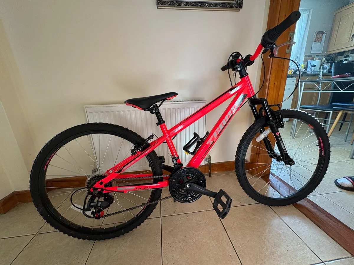 Girls Bicycle - Image 2