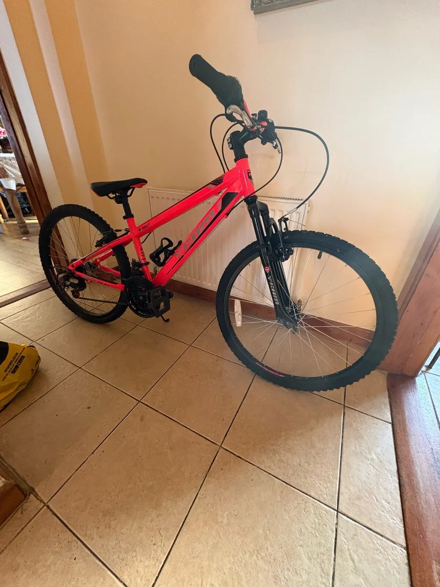 Girls Bicycle - Image 3