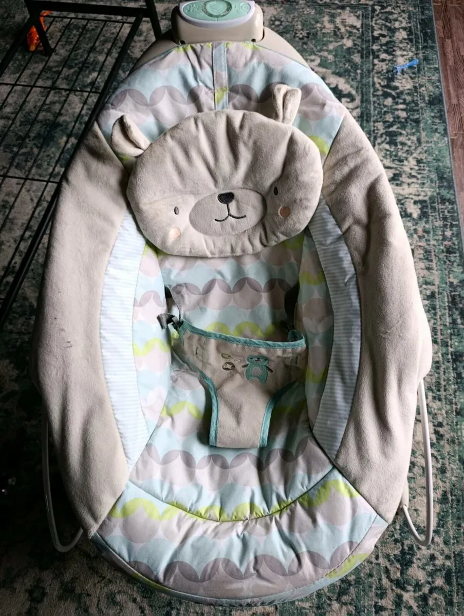 Baby Bouncer - Image 1