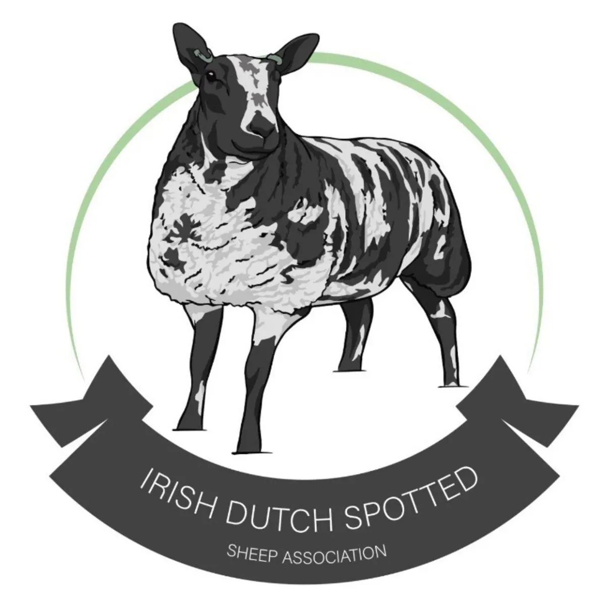 Winter Extravaganza Female Sale - Image 2