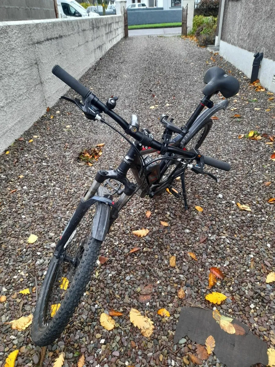 Bicycle and Camping Gear - Image 1