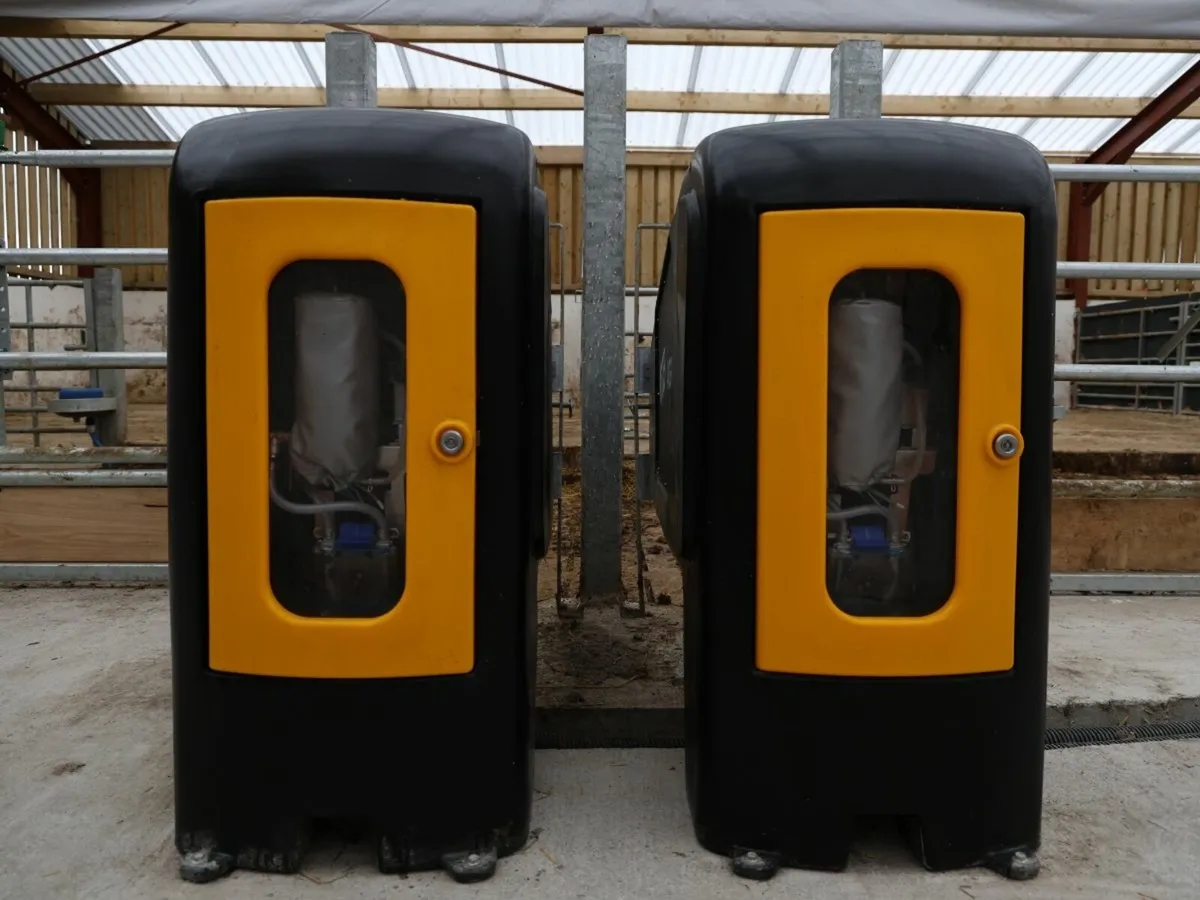 Automatic Calf Feeding - Image 2