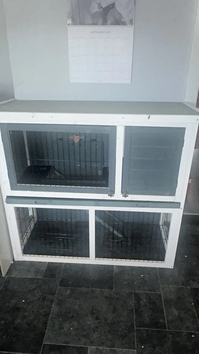 2 bunnies & hutch - Image 2