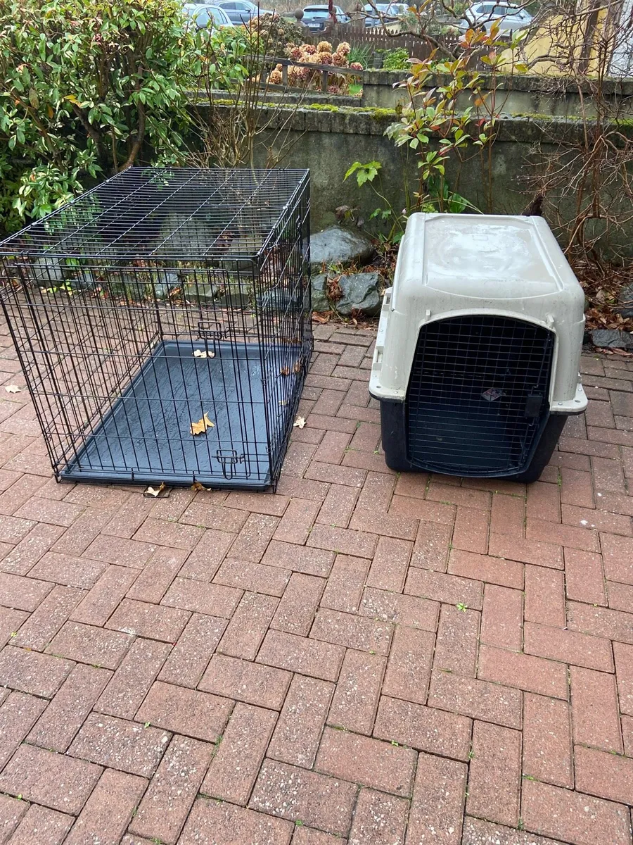 Large.  Pet.  Cages - Image 2