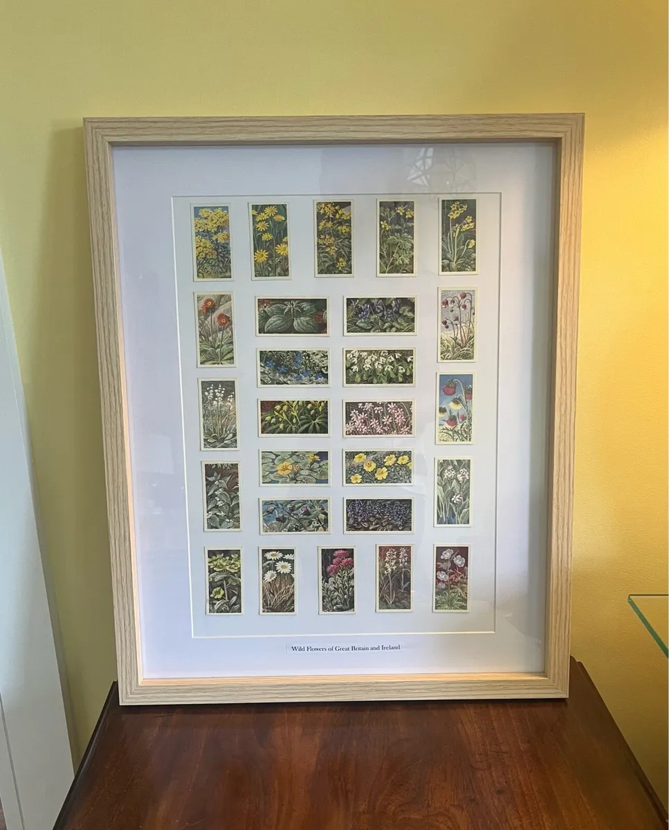Wildflowers of Great Britain and Ireland Tea Cards - Image 1