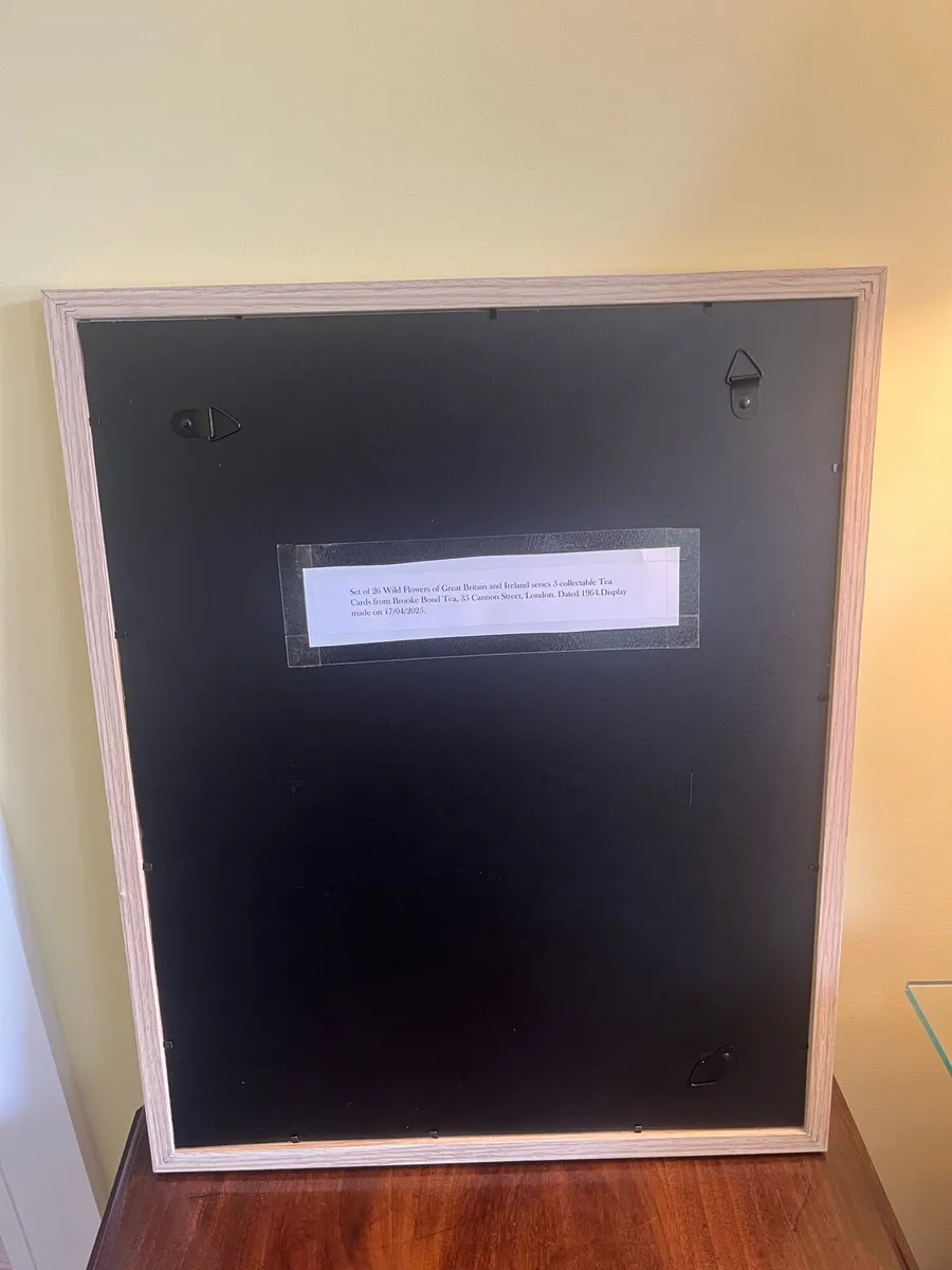 Wildflowers of Great Britain and Ireland Tea Cards - Image 3