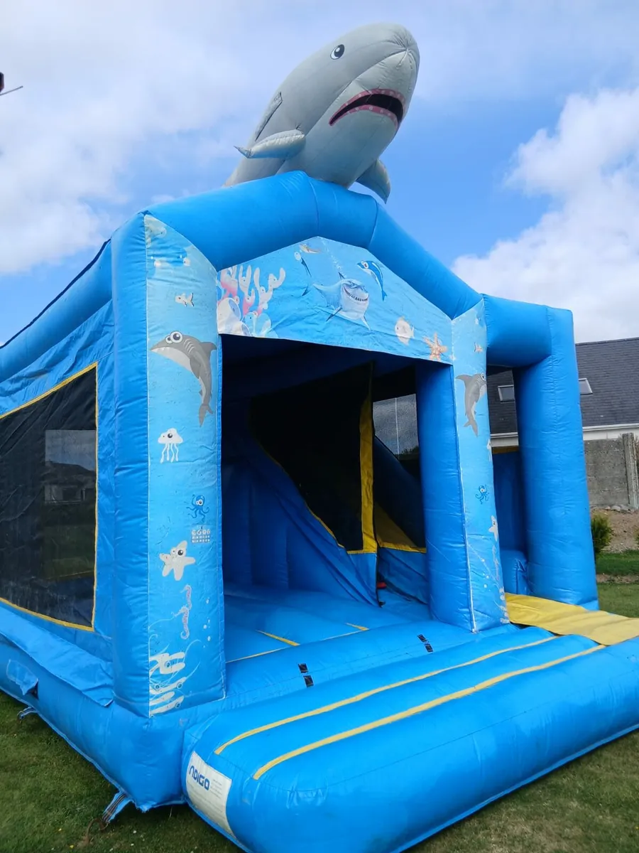 Bouncy Castles - Image 1