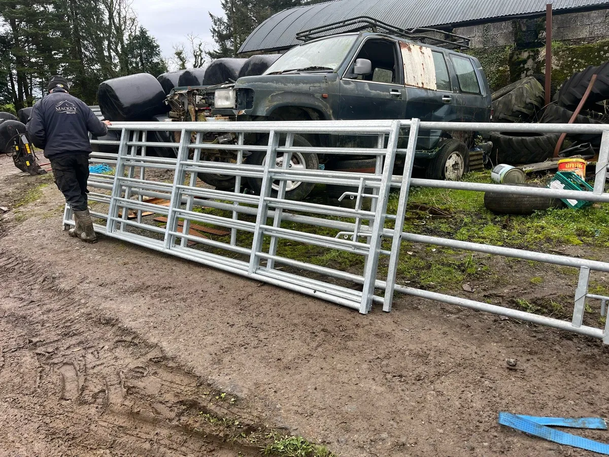 Heavy duty extendable gates - Image 2