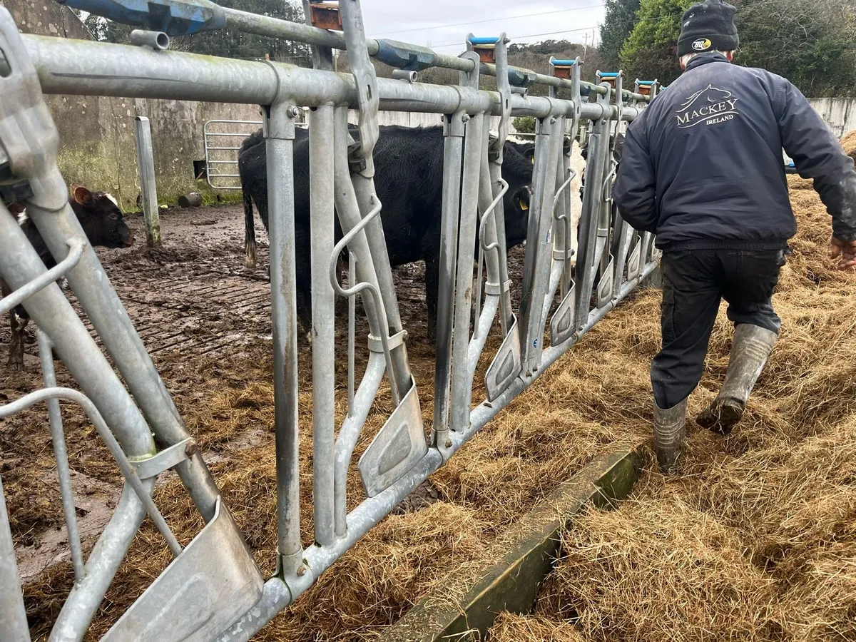 Heavy duty extendable gates - Image 3