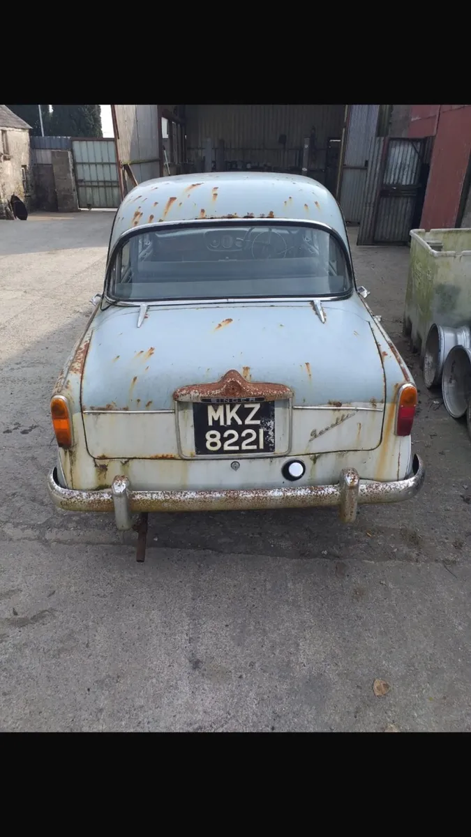 Hellman minks - Image 2