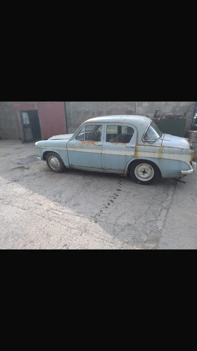 Hellman minks - Image 3