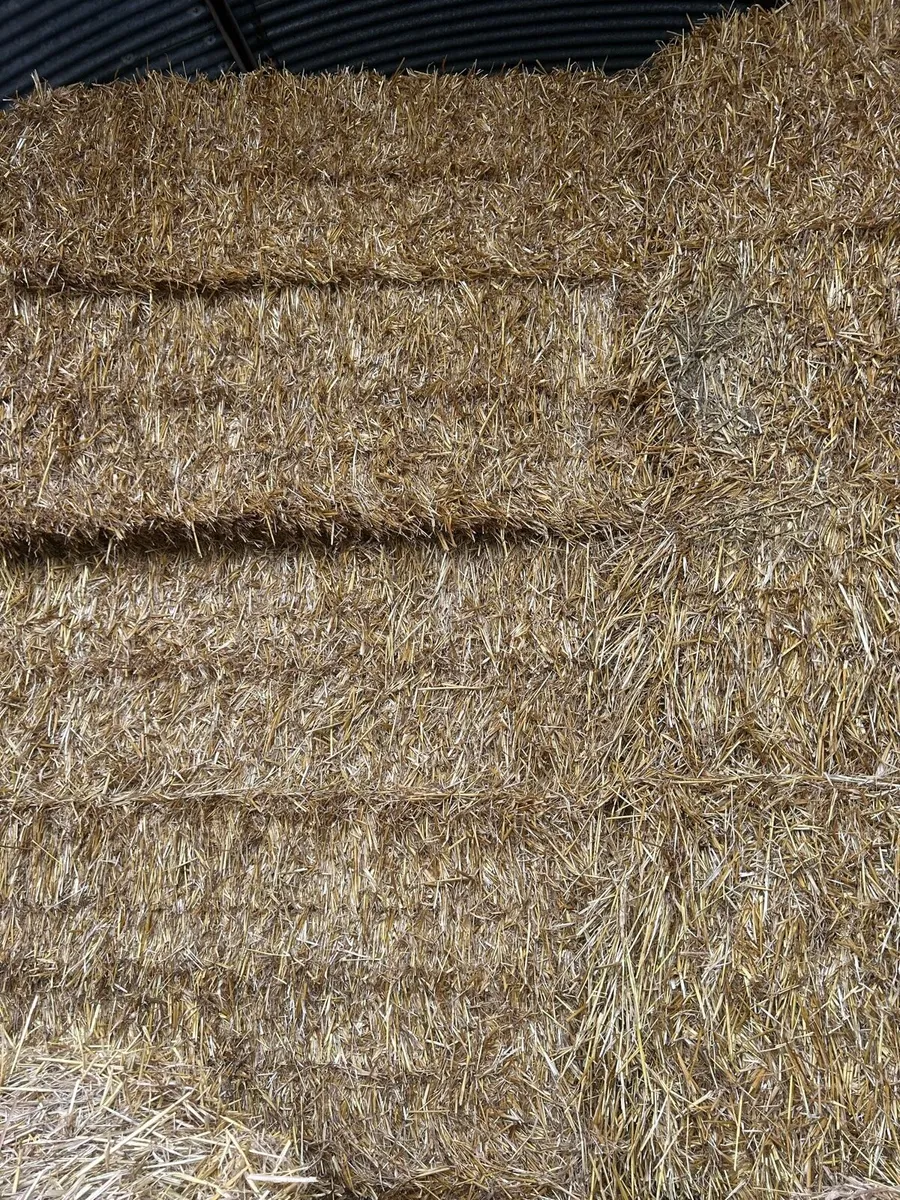 Straw - Image 1
