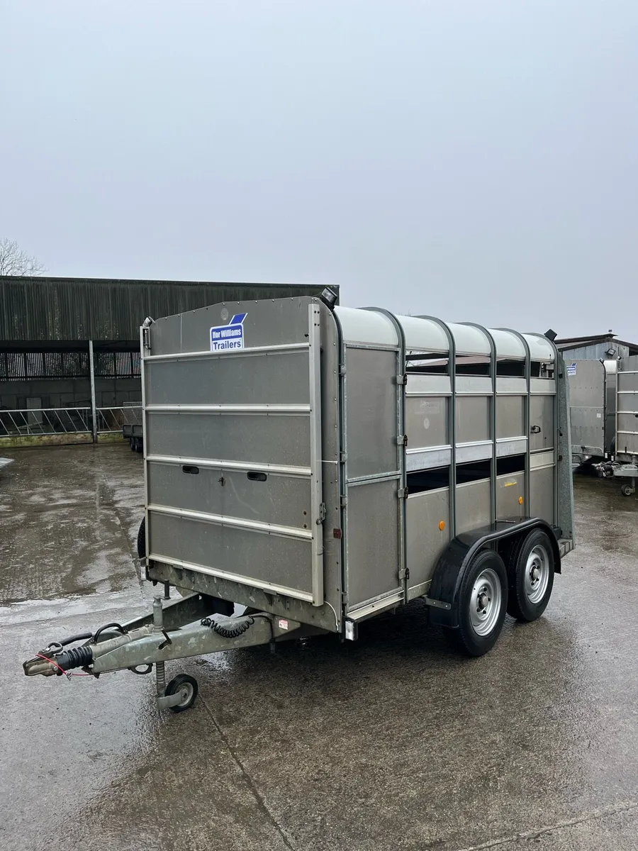 CJS Ifor Williams Sheep Trailer - Image 2