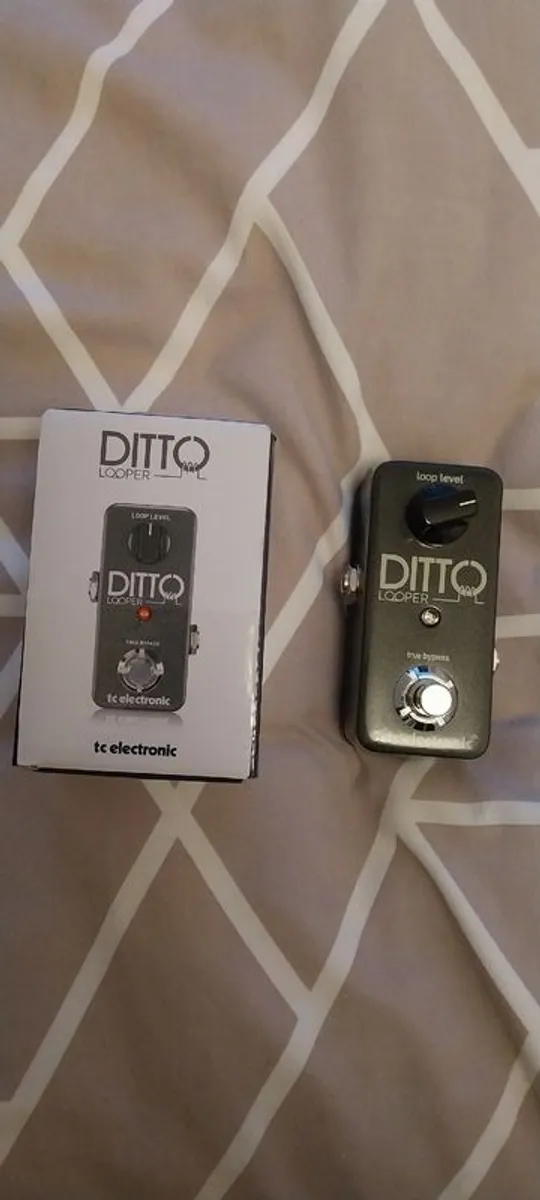TC Electronic Ditto Looper