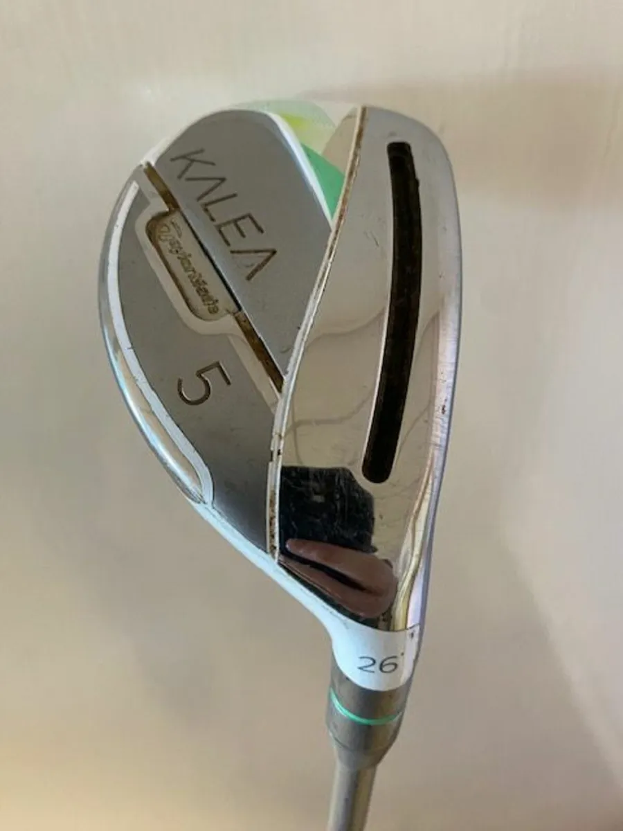 Woman's Hybrid Club - Image 1